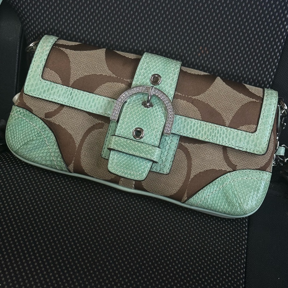 Coach Mint Green and Brown Signature Bag